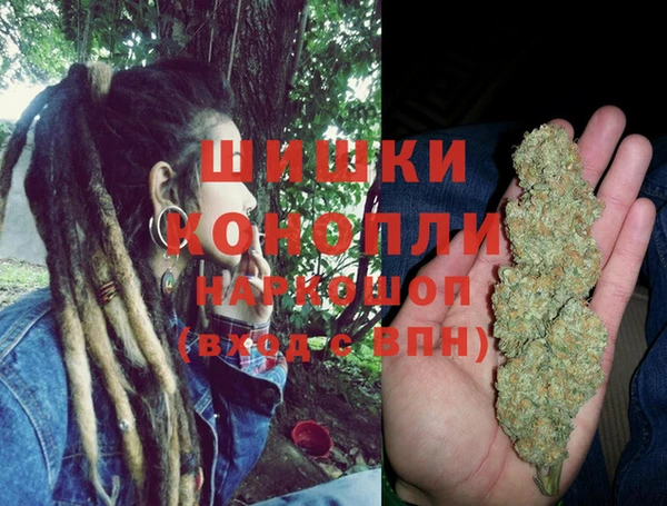 СК Болотное