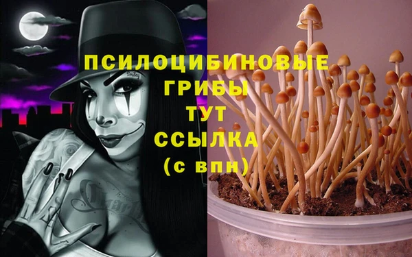 марки lsd Болохово