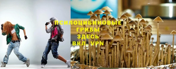 jwh Осинники